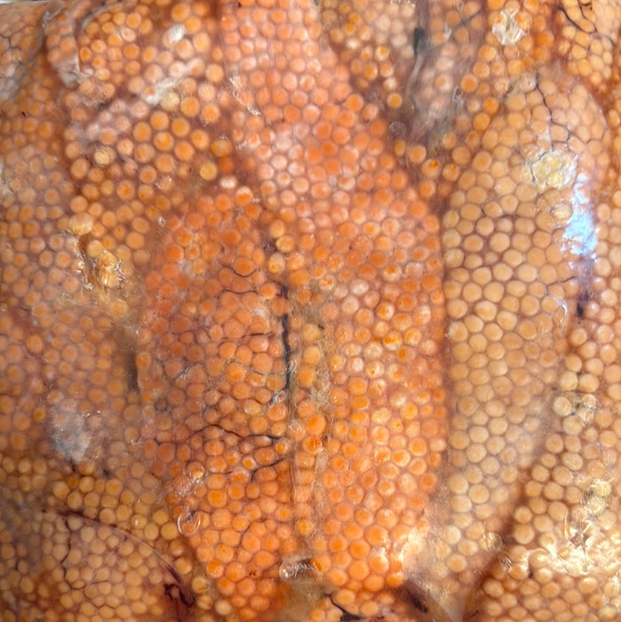 Salmon Eggs 8.5 lb bag
